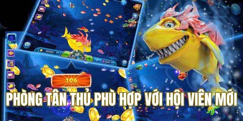 Phòng tân thủ phù hợp với hội viên mới